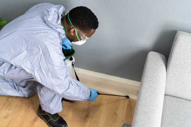 Best Bed Bug Extermination  in Bay Springs, MS